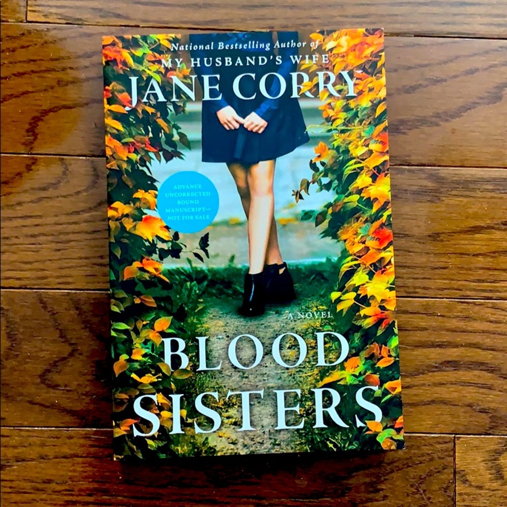 6/$30 Blood Sisters by Jane Corry book novel